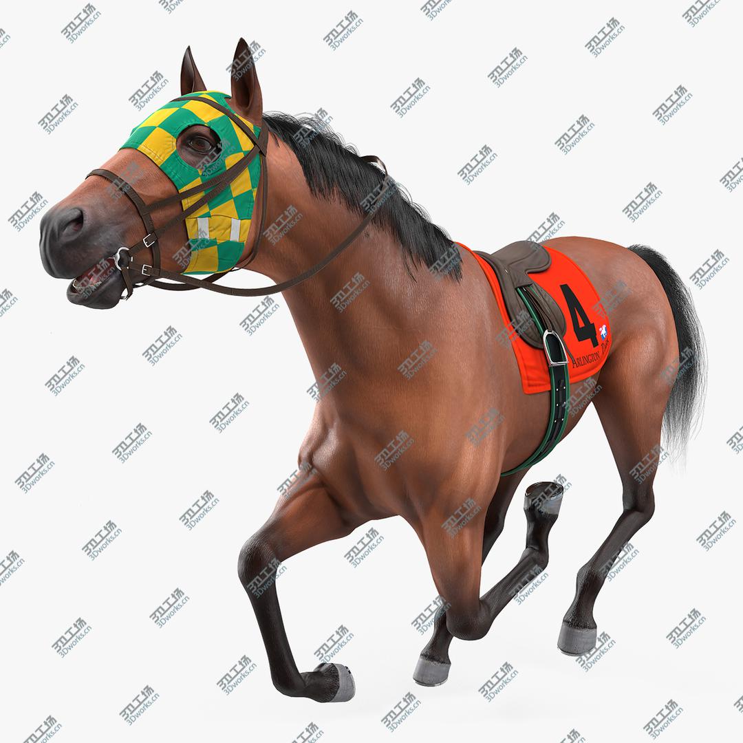 images/goods_img/20210313/3D Bay Racehorse Fur Rigged/1.jpg